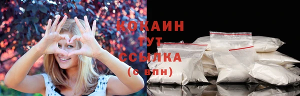 mdpv Богородицк