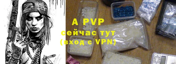 mdpv Богородицк