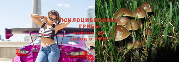 mdpv Богородицк