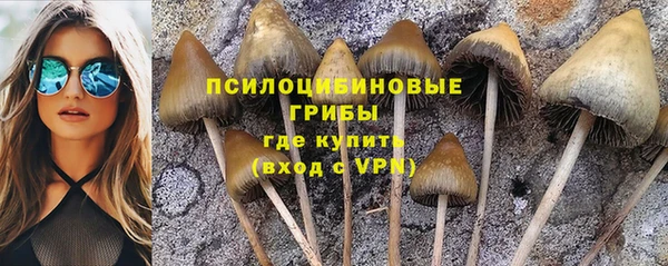 альфа пвп Богородск