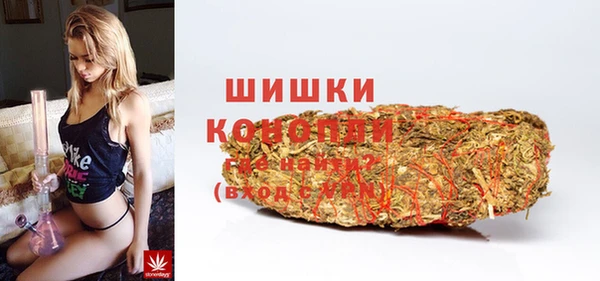 mdpv Богородицк